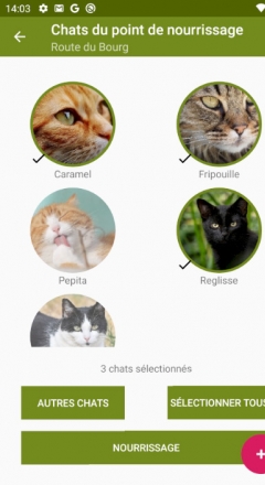 Application Android Freecats